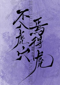 不入虎穴,焉得虎